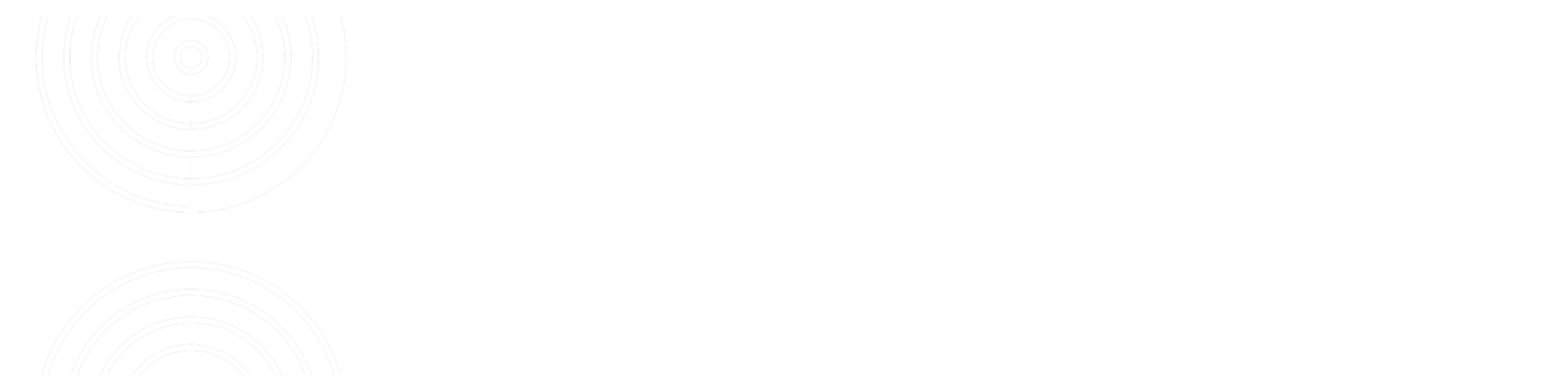 Festival de las culturas
